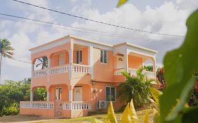 Happy Nest Dominica